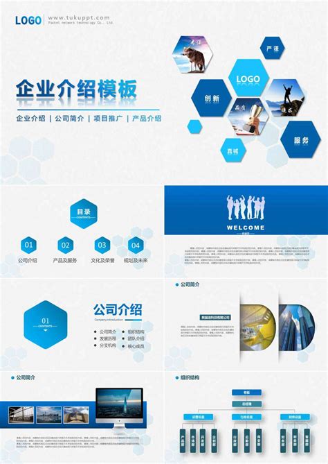公司概述 .